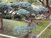 San Fran Vacation 135